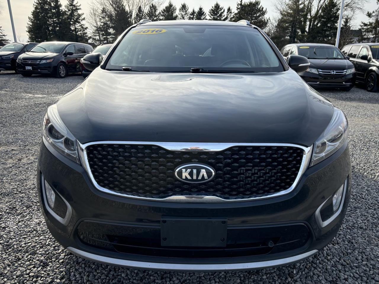 Kia Sorento EX 2016